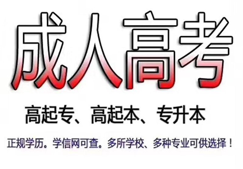 企业培训：助力员工成长与企业发展同频共振